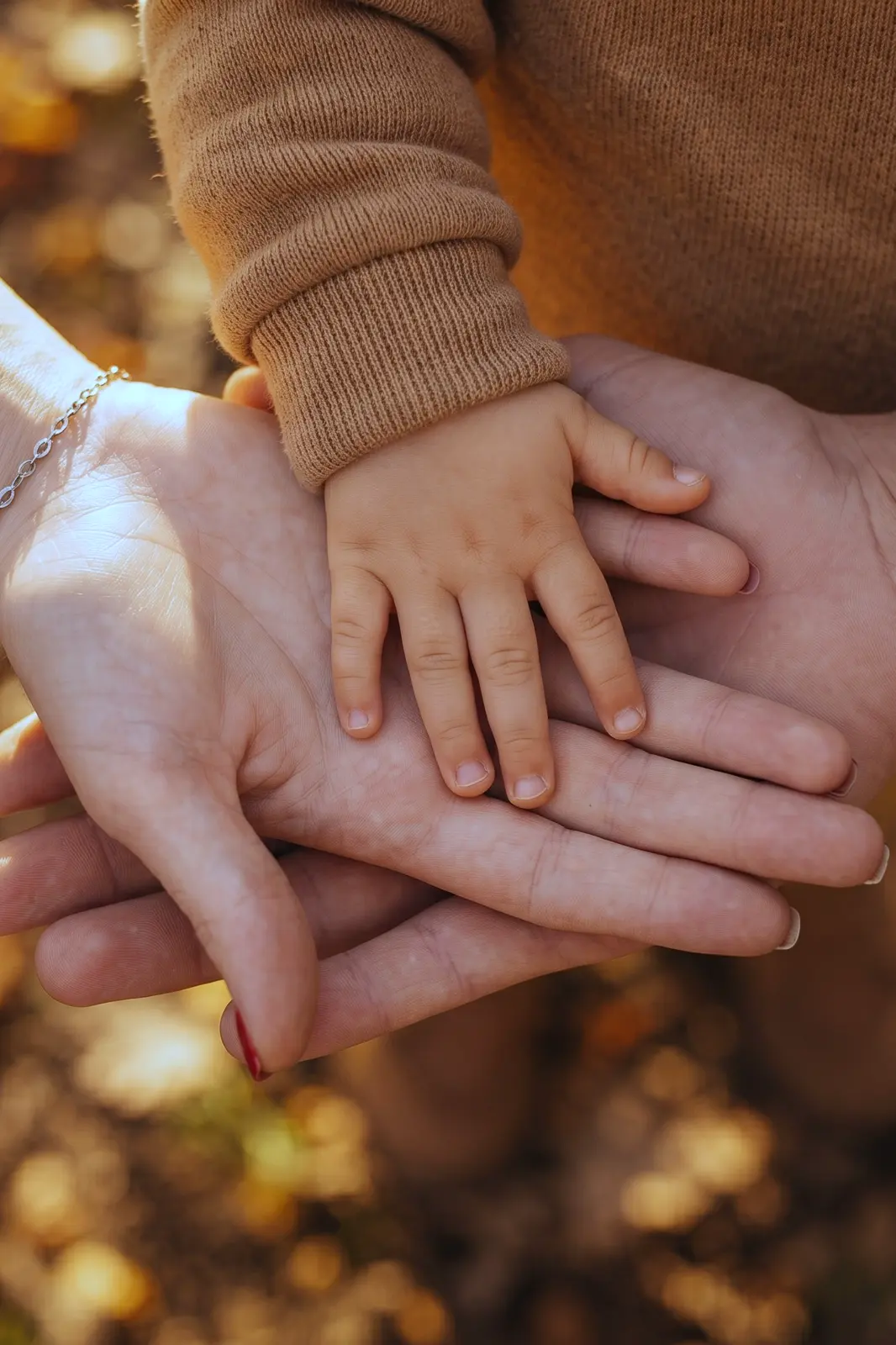 Family therapy and counselling in Albury Wodonga